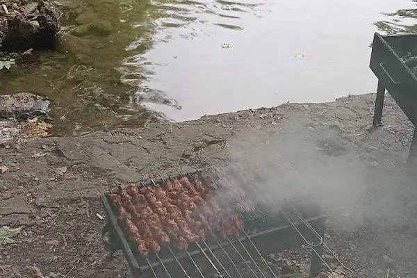 Reis'in Yeri Yüzme Havuzu &amp; Piknik Alanı - Resim 8