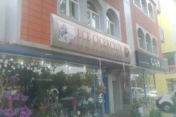 Ece çiçekcilik - Resim 2
