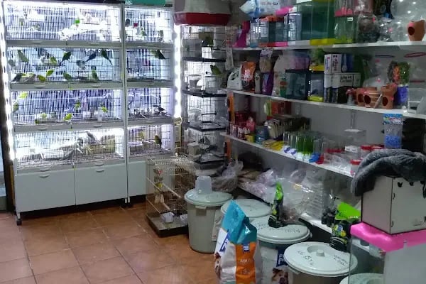 Salih PETSHOP - Resim 5