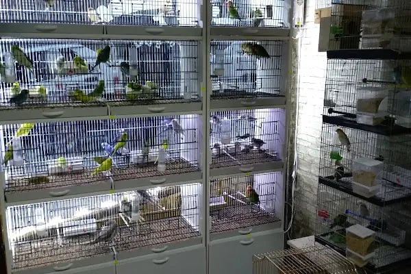Salih PETSHOP - Resim 4