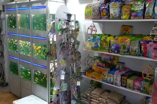 Salih PETSHOP - Resim 3
