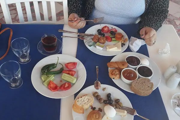 Bal Mahmut Aslı Motel - Resim 14