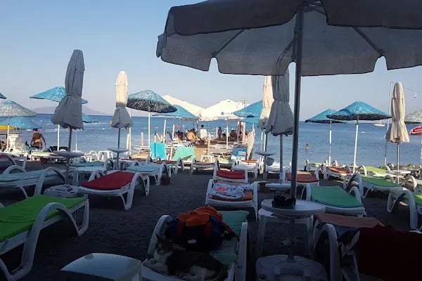 Bal Mahmut Aslı Motel - Resim 2