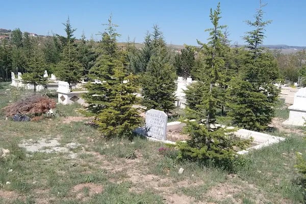 Kavaklı Köyü Mezarlığı - Resim 2