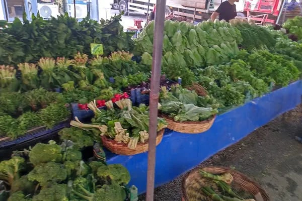 Local’s market on Sundays - Resim 12