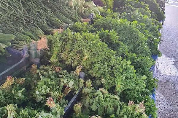 Local’s market on Sundays - Resim 20