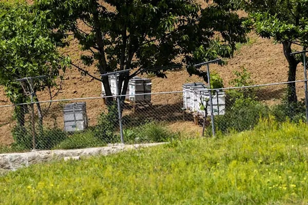 ÖZKARAASLAN YAYLA EVİ - Resim 3