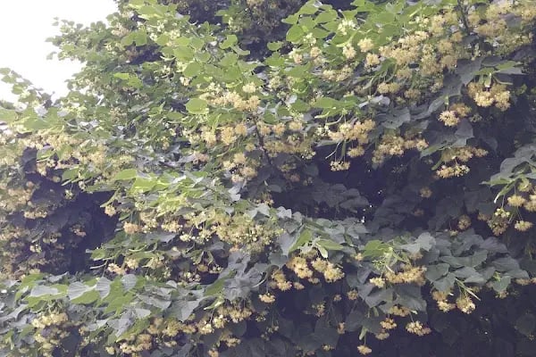 Sakarya Üniversitesi Mühendislik Fakültesi M3 Binası - Resim 9