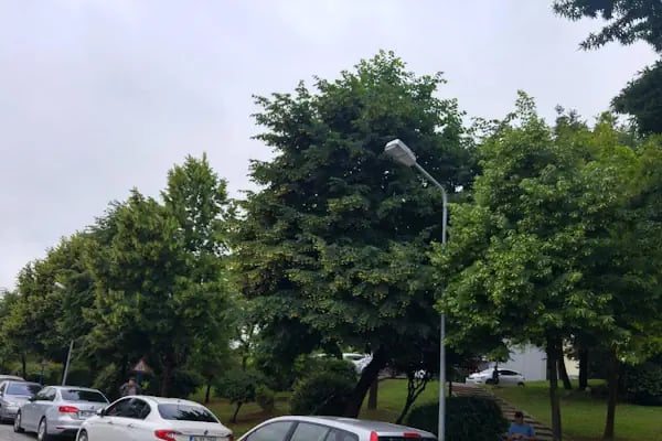 Sakarya Üniversitesi Mühendislik Fakültesi M3 Binası - Resim 7