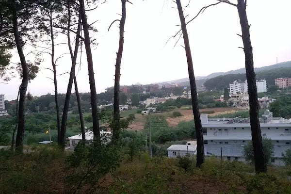 Mutlu Tatil Köyü - Resim 7