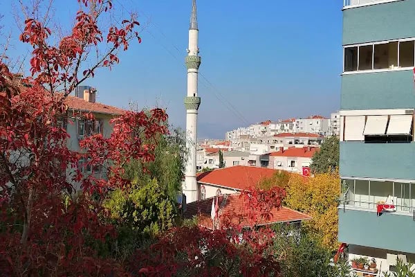 Yumurtacı Ahmet Akdeniz Üçkuyular Camii - Resim 5