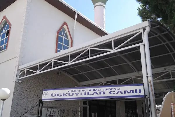 Yumurtacı Ahmet Akdeniz Üçkuyular Camii - Resim 20