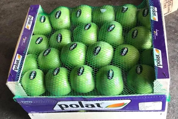 Polat Narenciye (Polat Citrus Industry) - Resim 16