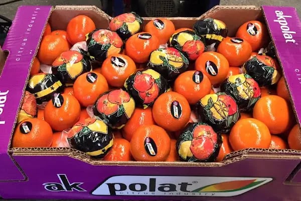 Polat Narenciye (Polat Citrus Industry) - Resim 17