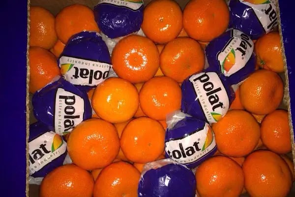 Polat Narenciye (Polat Citrus Industry) - Resim 9