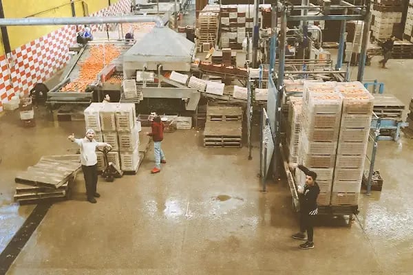 Polat Narenciye (Polat Citrus Industry) - Resim 18