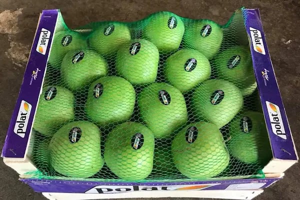 Polat Narenciye (Polat Citrus Industry) - Resim 19