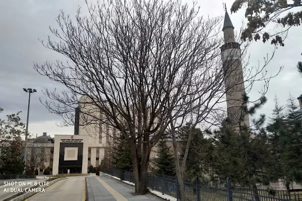 Hacettepe Üniversitesi Diş Hekimliği Fakültesi - Resim 2