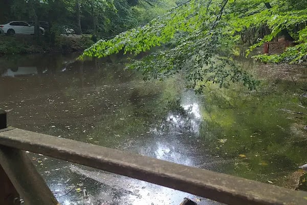 Bentler Tabiat Parkı - Resim 18