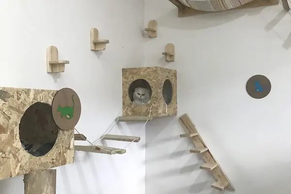 Maslak Vet Zoo Veteriner Kliniği - Resim 6