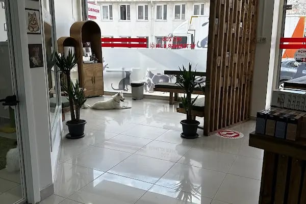 Maslak Vet Zoo Veteriner Kliniği - Resim 3