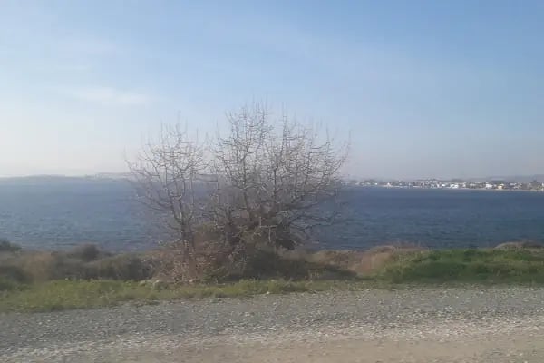 Levanten Event &amp; Organizasyon - Resim 4