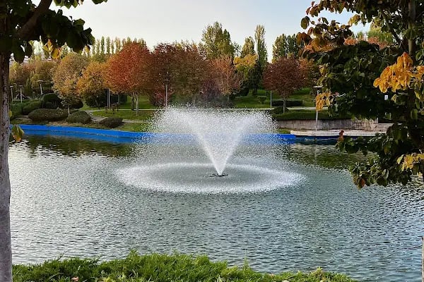 Ankara altınpark gokart - Resim 17