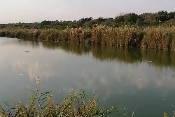 Adanalıoğlu - Resim 13