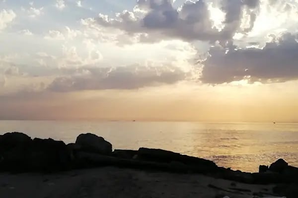 Adanalıoğlu - Resim 14