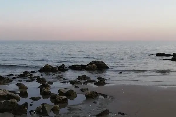 Adanalıoğlu - Resim 10