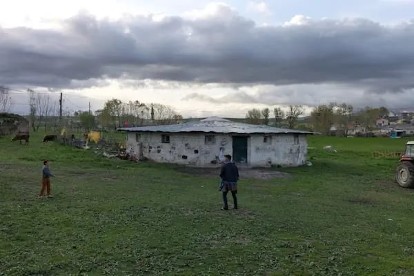 Büyükdurduran Köyü Muhtarlığı - Resim 6