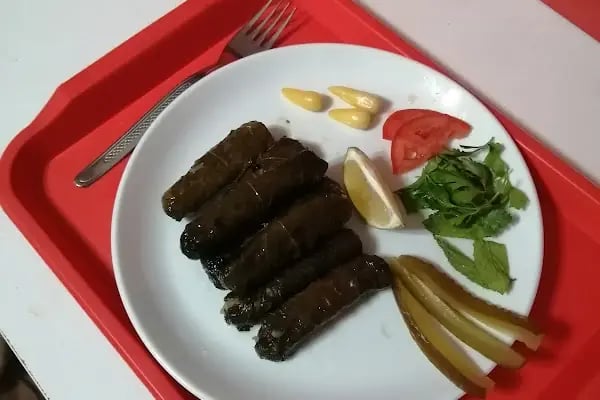 Komagene Mersin/Aydıncık - Resim 7
