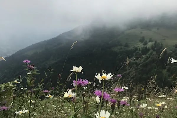 Karavan Park&amp;Çadır Kamp Alanı - Resim 17