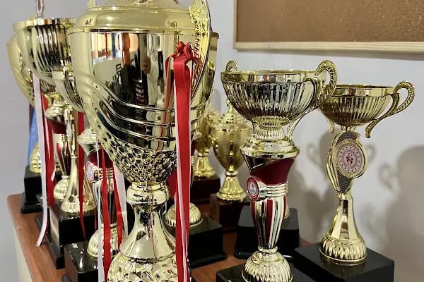 Gym10 Cimnastik Ve Hareket Eğitimi - Resim 3