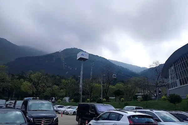 Uludağ sarıalan - Resim 14