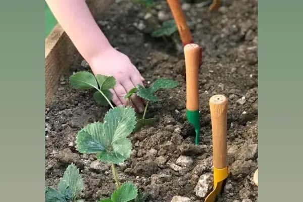 Özel Koza Çocuk Diyarı Anaokulu Nilüfer - Resim 13