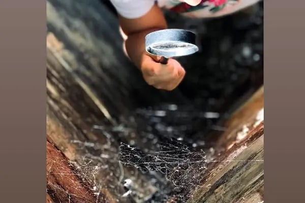 Özel Koza Çocuk Diyarı Anaokulu Nilüfer - Resim 20