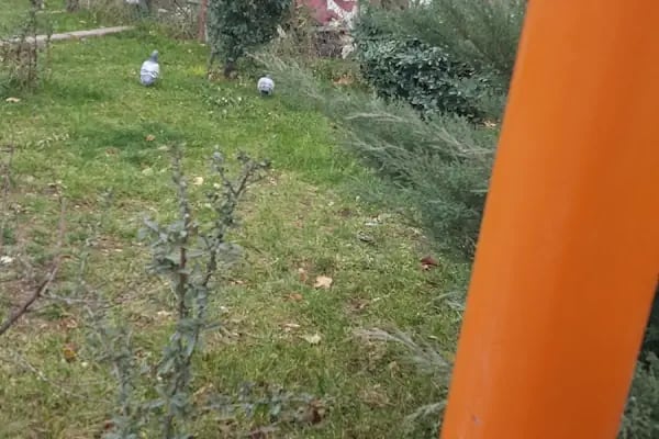 Türközü Taksi Durağı - Resim 11