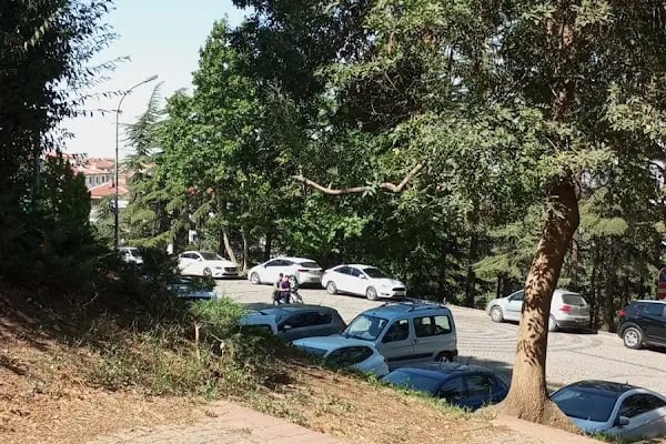 Hıdırlık Çay Bahçesi - Resim 15