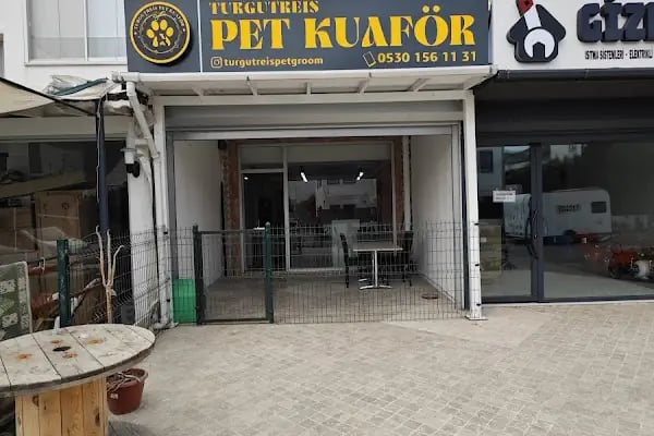 Turgutreis Pet Kuaför - Resim 7