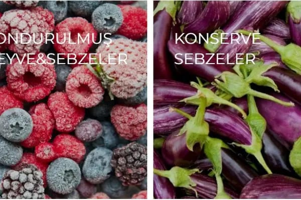 Frigo-pak Gıda Maddeleri Sanayi ve Ticaret A.S. - Resim 1