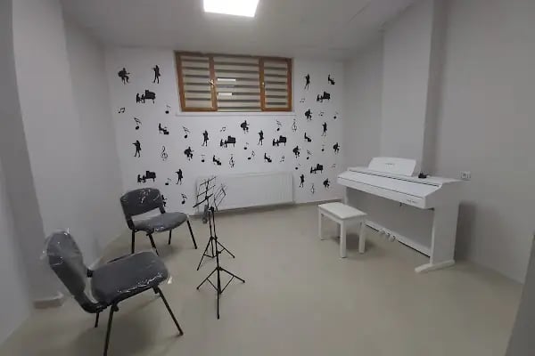 T.C. MEB ALTIN ORAN MÜZİK KURSU - Resim 3