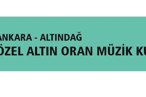 T.C. MEB ALTIN ORAN MÜZİK KURSU - Resim 16