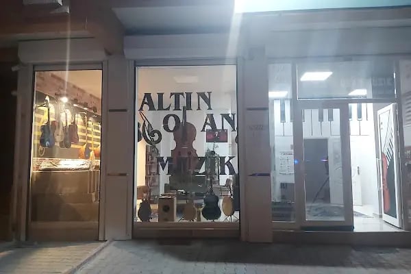 T.C. MEB ALTIN ORAN MÜZİK KURSU - Resim 2