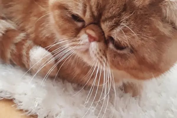 +CAN Psikolojik Danışmanlık Merkezi- (Ankara psikolog) - Resim 15