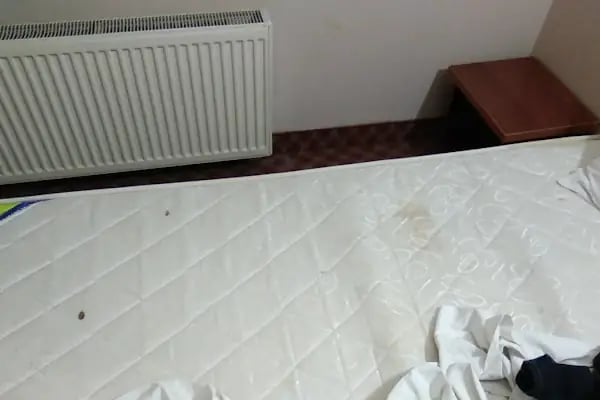 Tekno Park Hotel - Resim 2