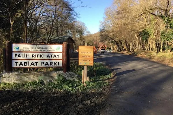 Falih Rıfkı Atay Tabiat Parkı - Resim 15