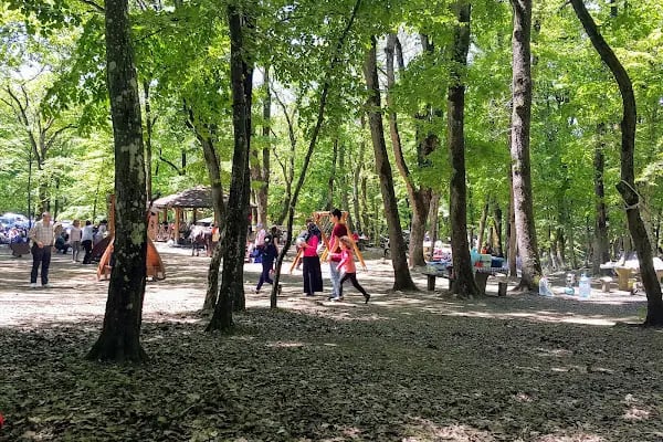 Falih Rıfkı Atay Tabiat Parkı - Resim 4