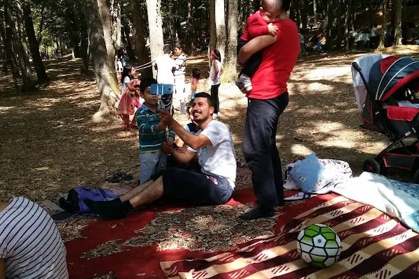 Falih Rıfkı Atay Tabiat Parkı - Resim 17