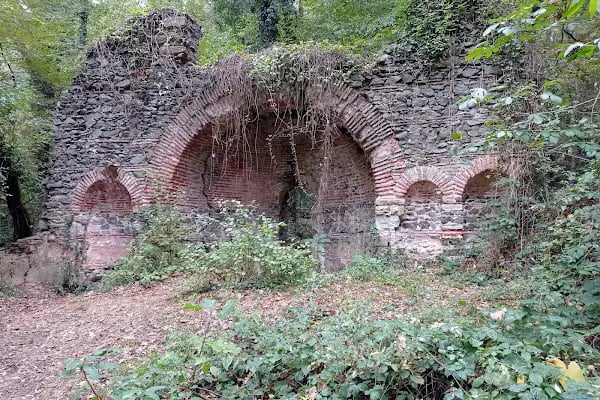 Falih Rıfkı Atay Tabiat Parkı - Resim 2